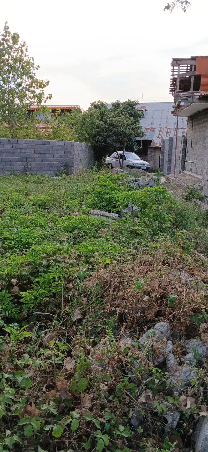 تصویر املاک 144635