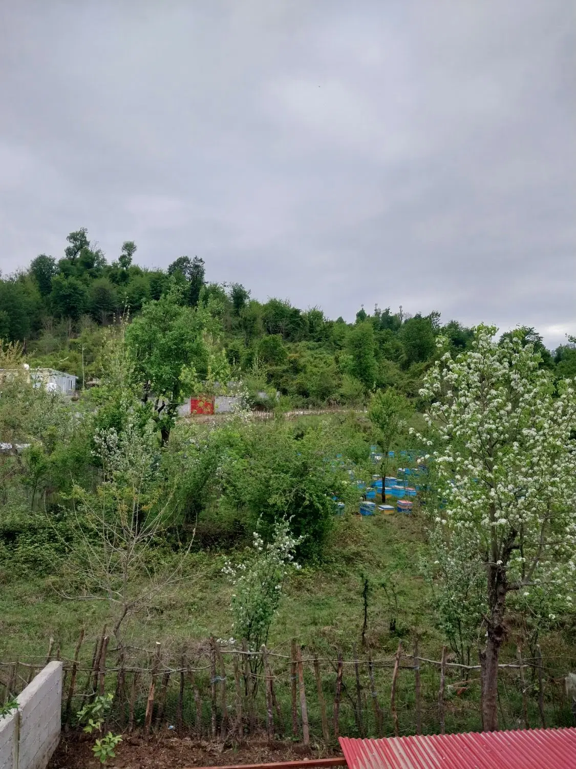 تصویر املاک 117351