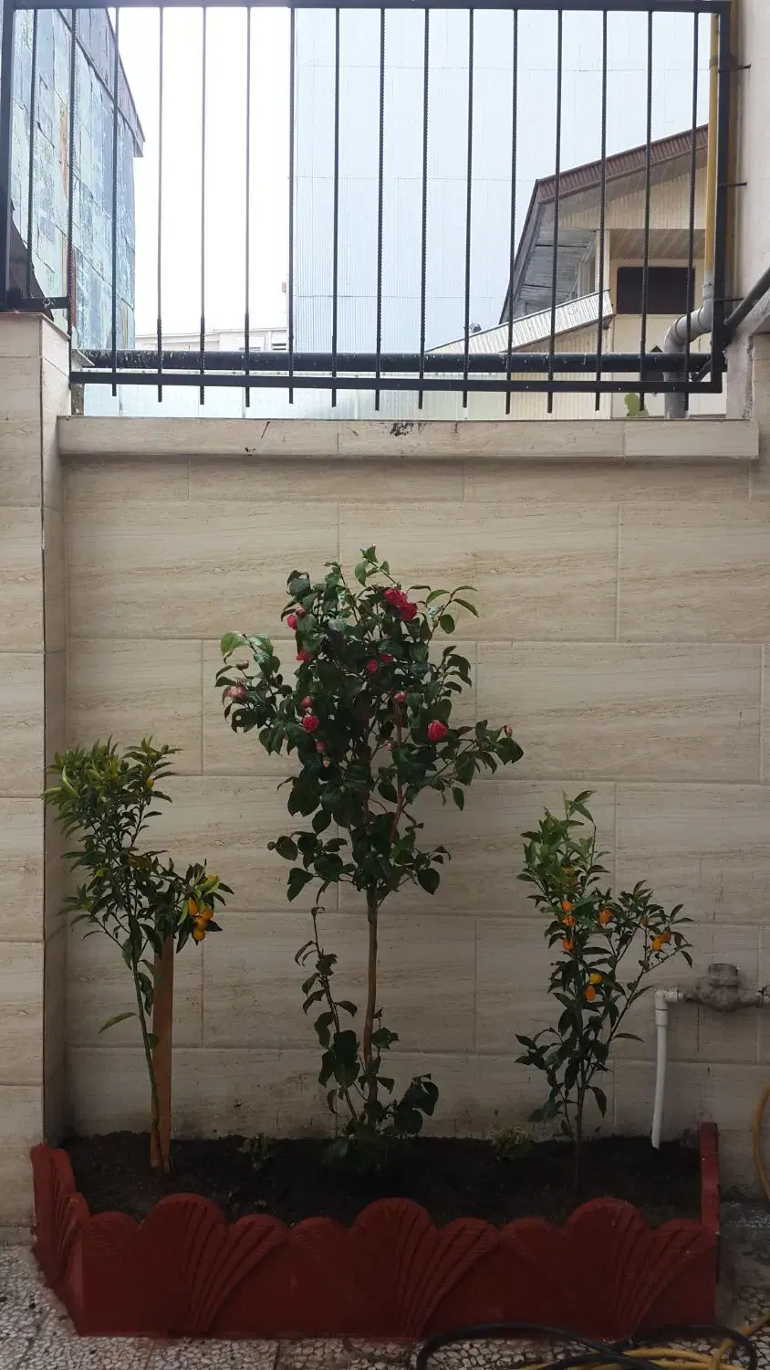 تصویر املاک 53457
