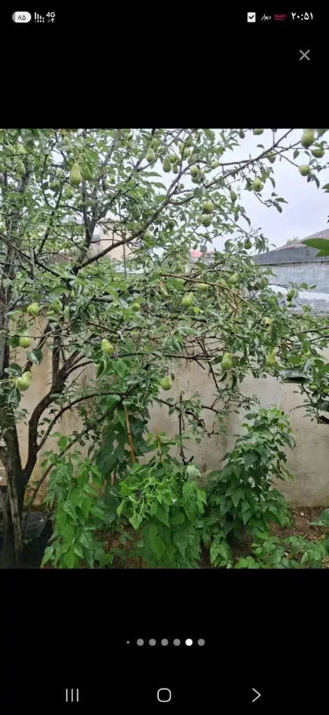 تصویر املاک 139634