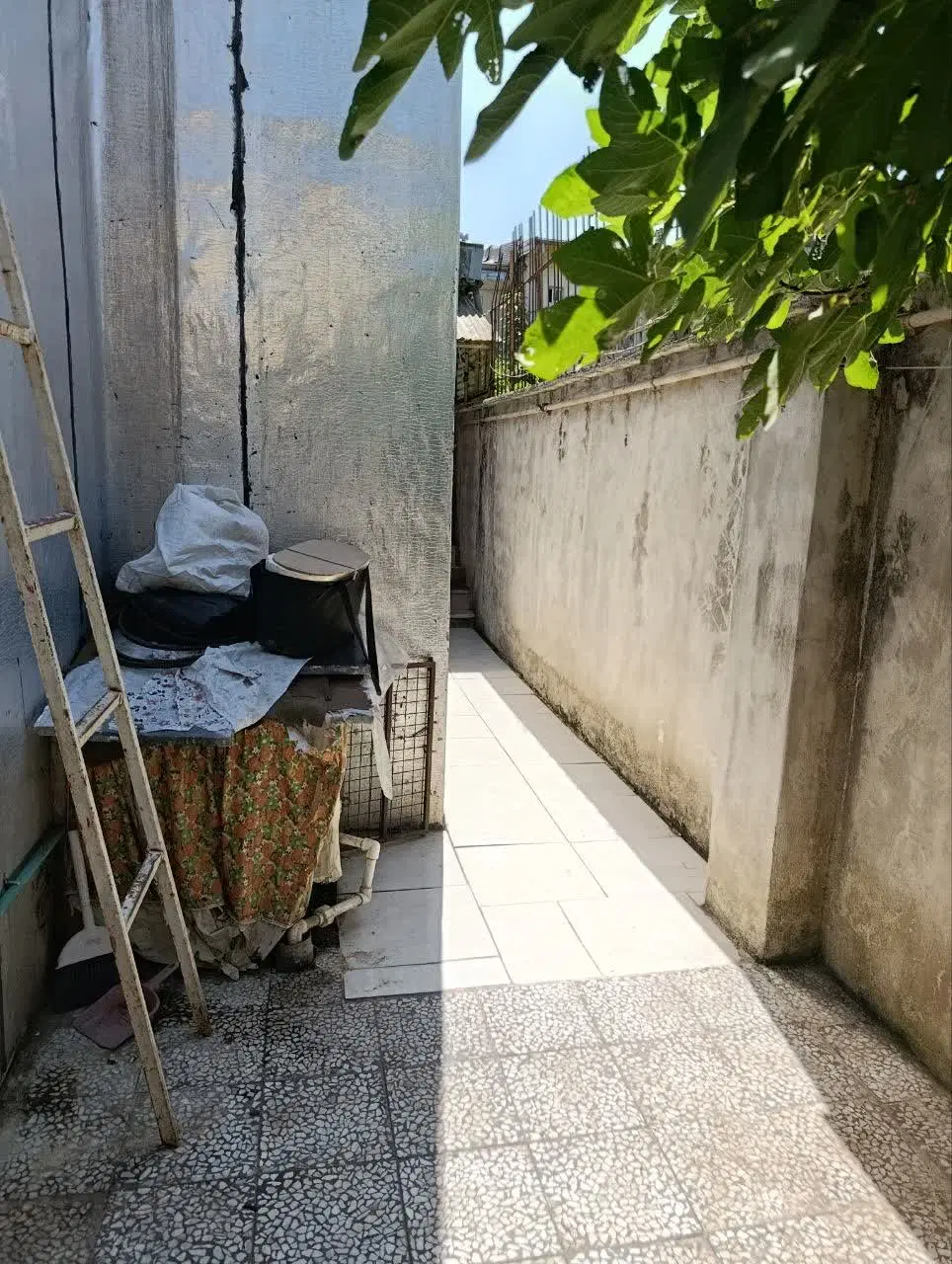 تصویر املاک 101389