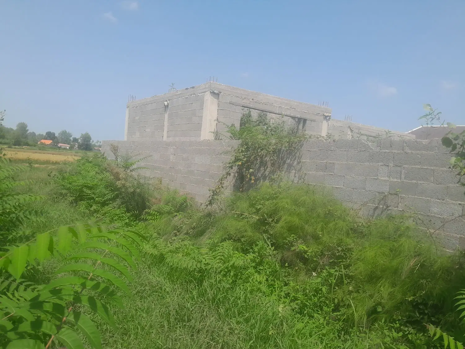 تصویر املاک 118749