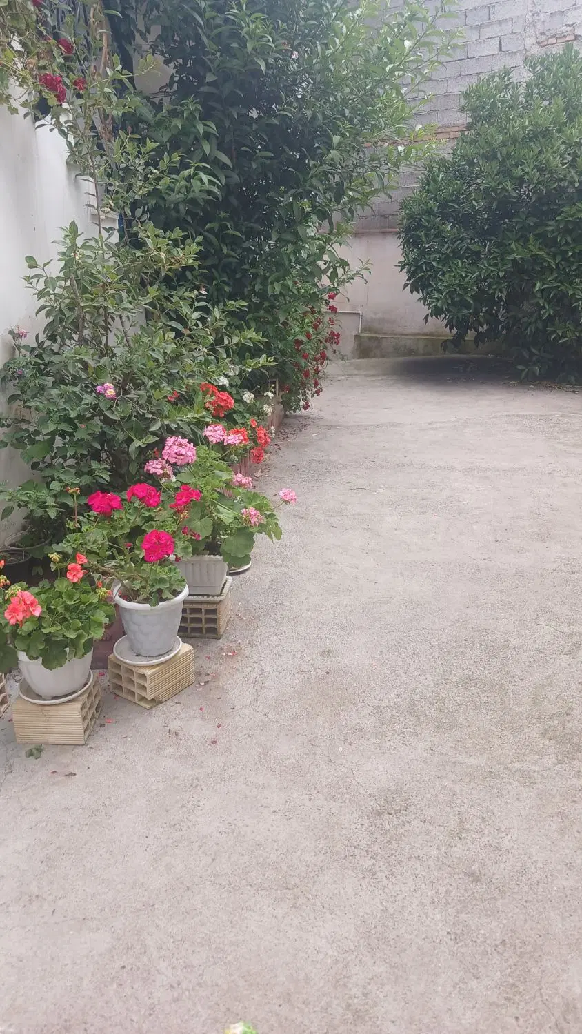 تصویر املاک 116164