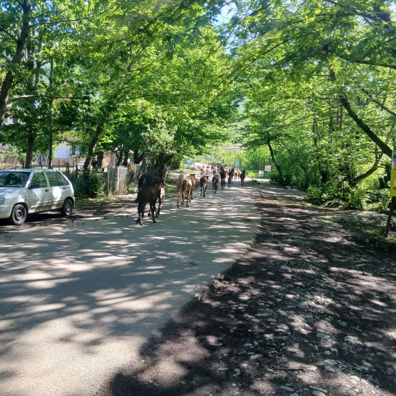 تصویر املاک 107701