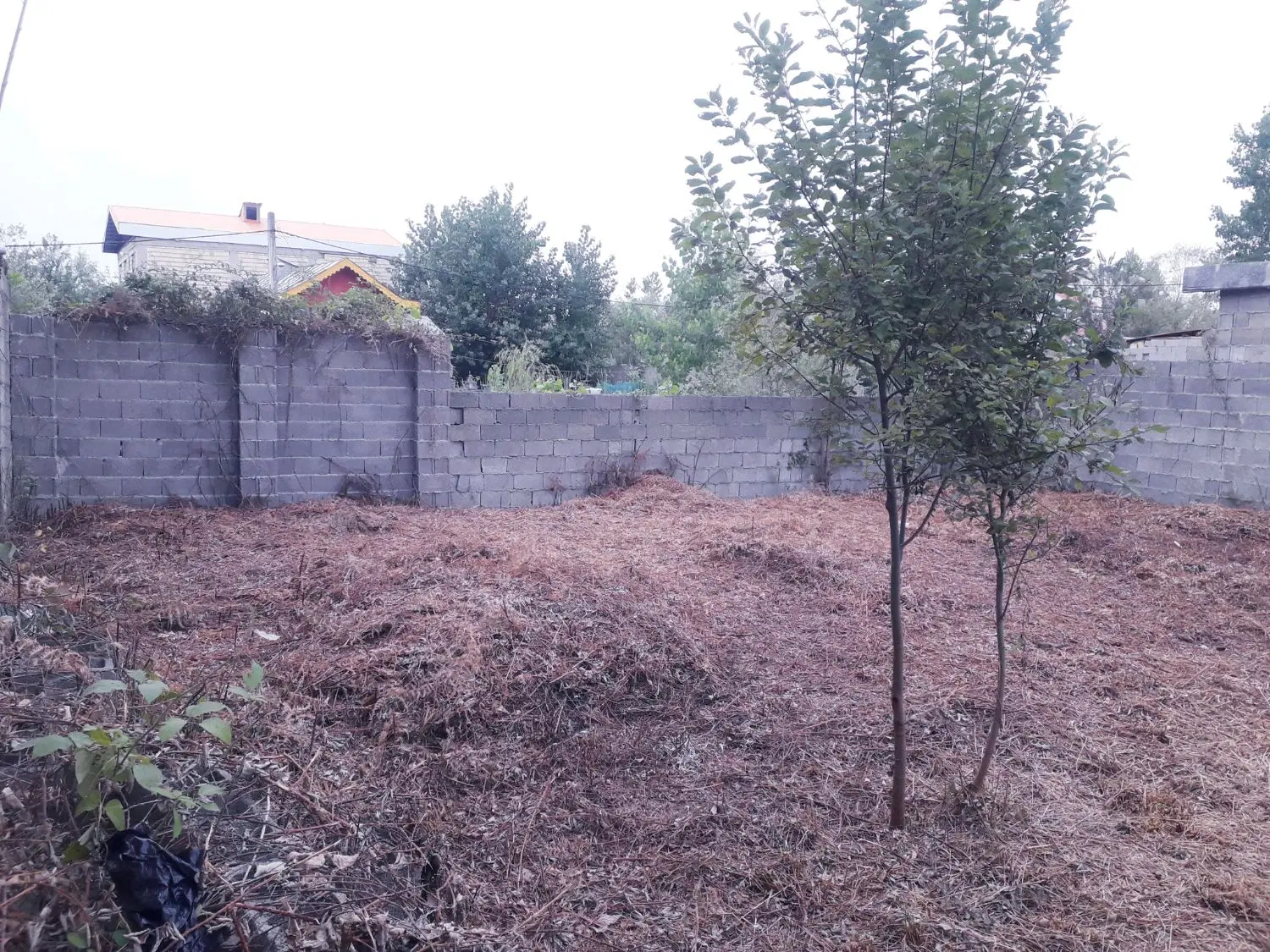 تصویر املاک 84859