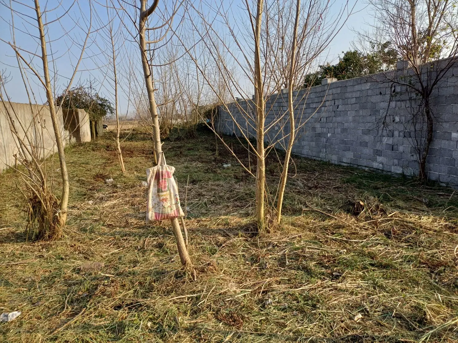 تصویر املاک 130201