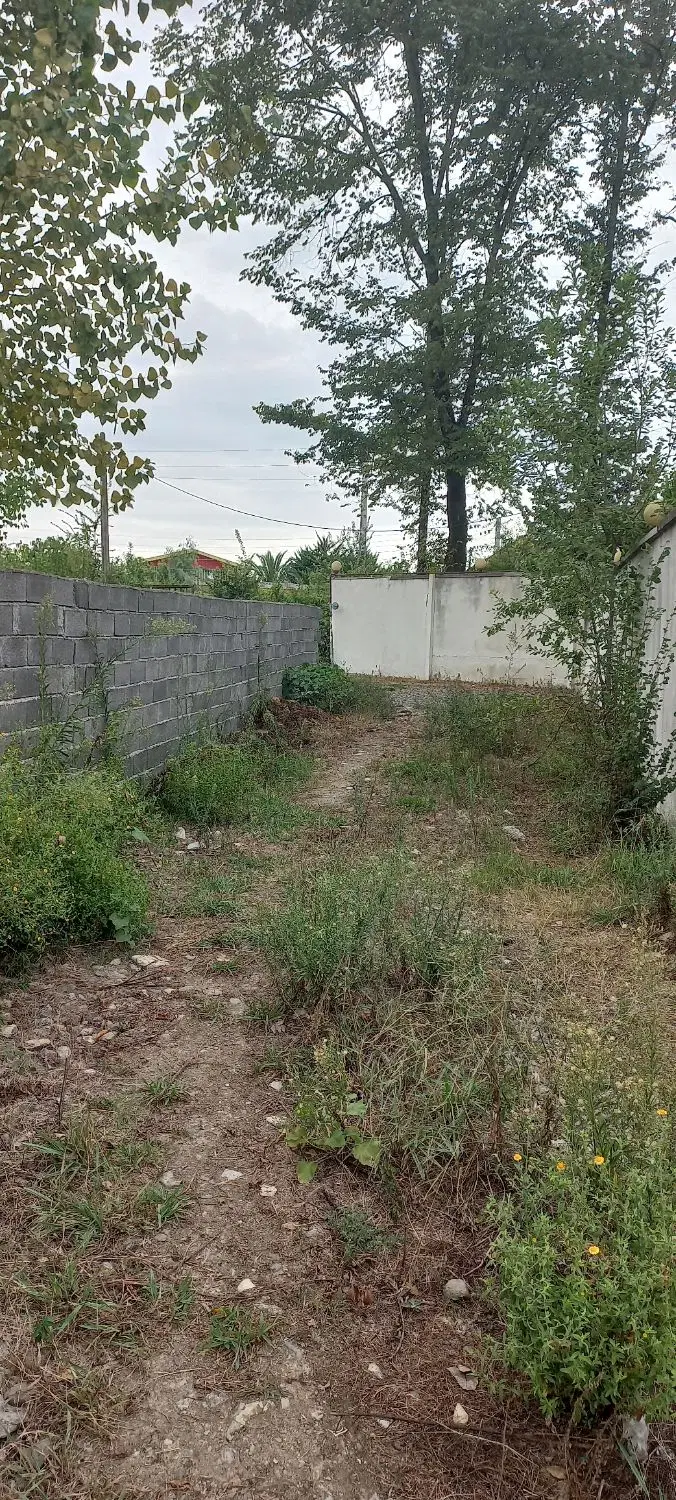 تصویر املاک 118873