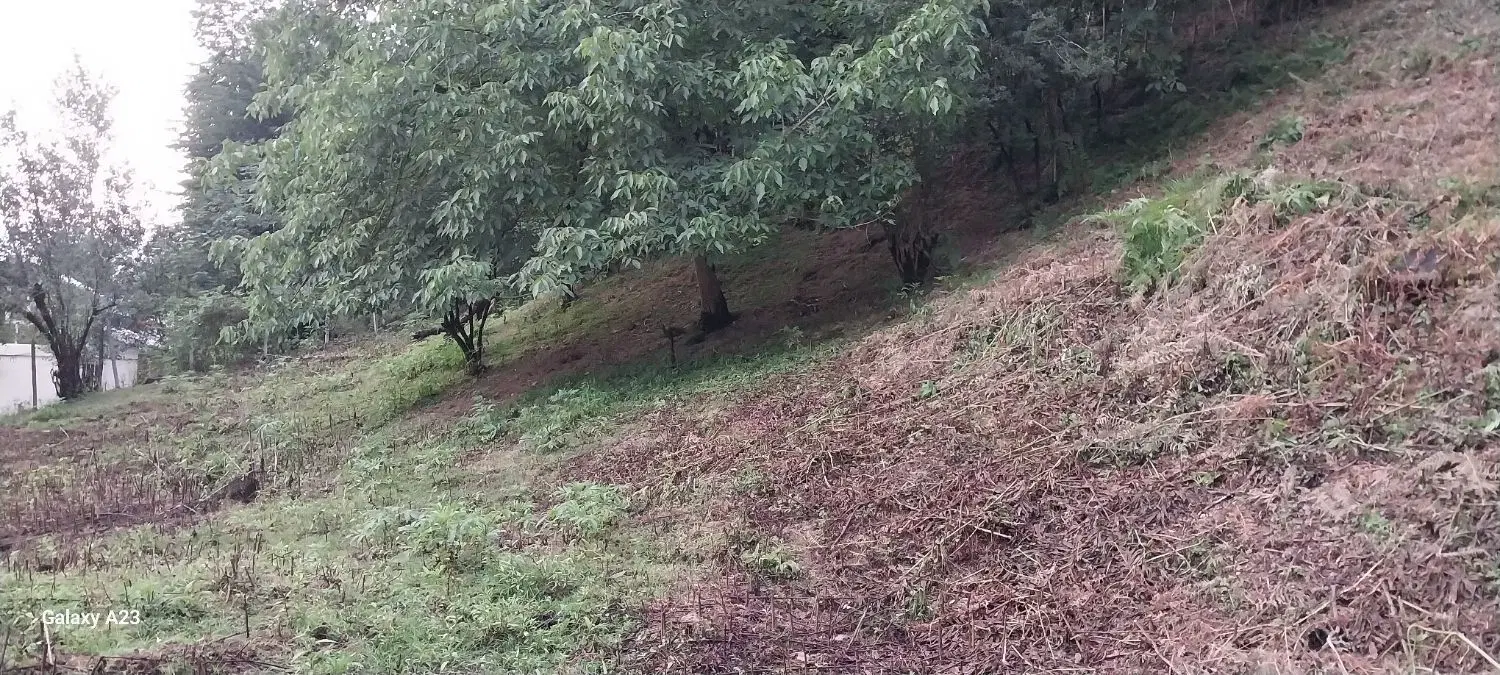 تصویر املاک 76201