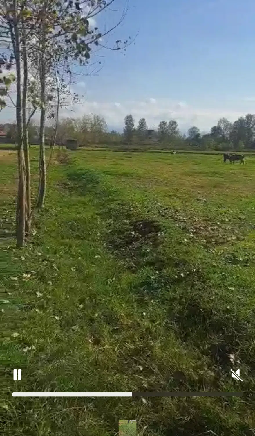 تصویر املاک 77255