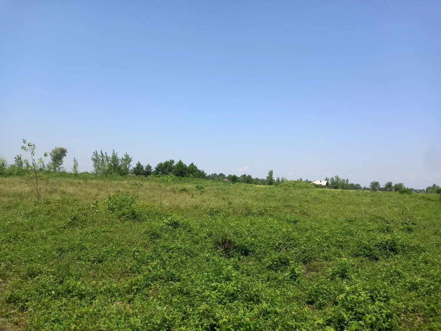 تصویر املاک 100666