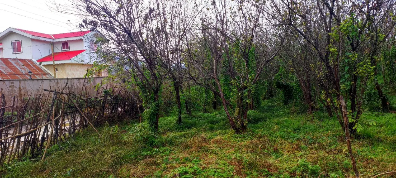 تصویر املاک 43718