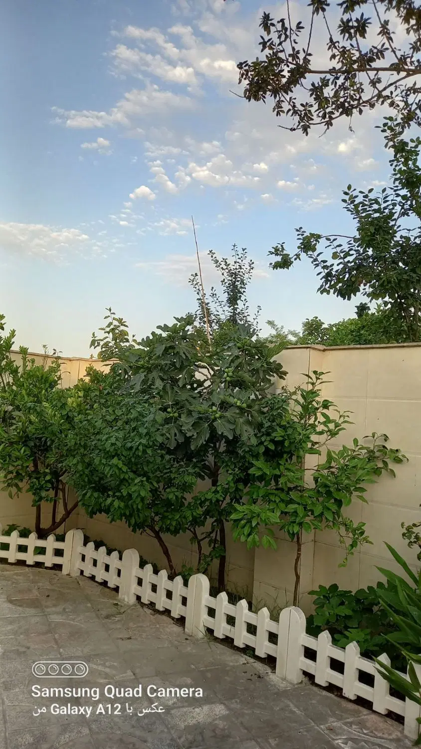 تصویر املاک 97253