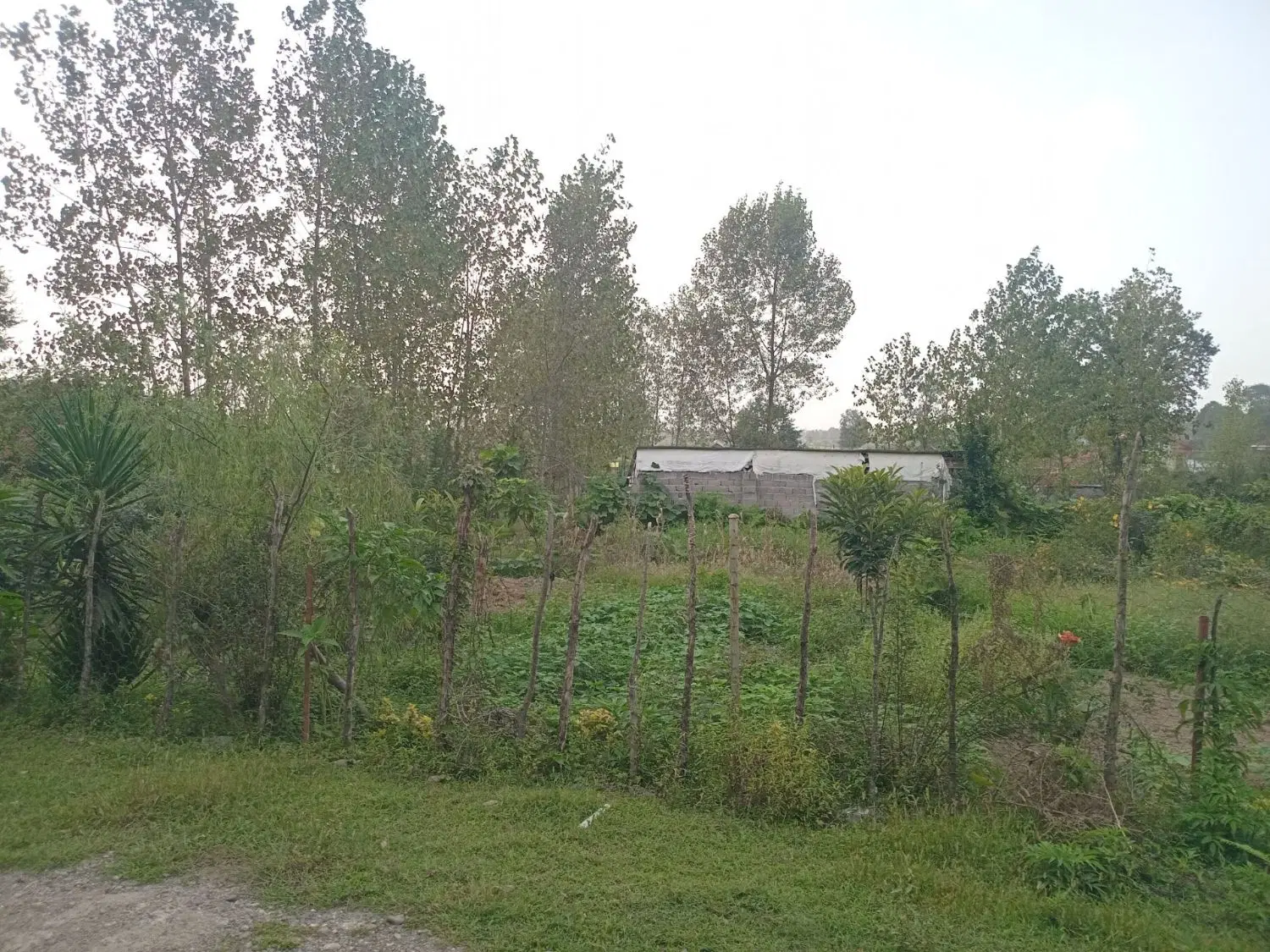 تصویر املاک 131784