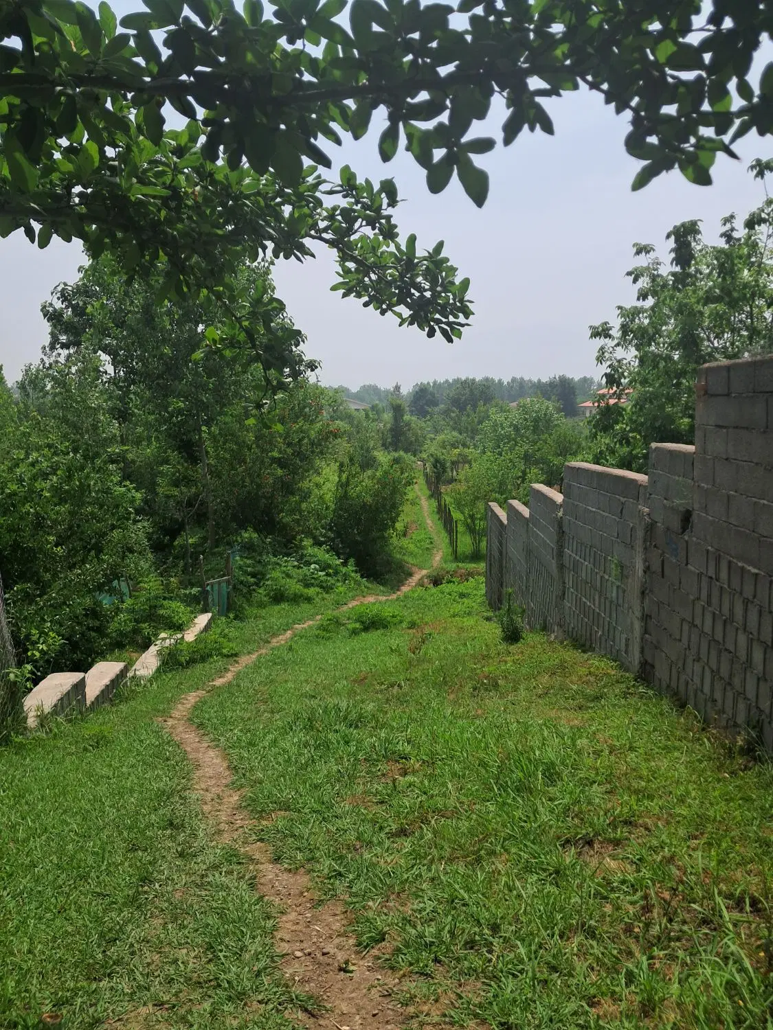 تصویر املاک 113116