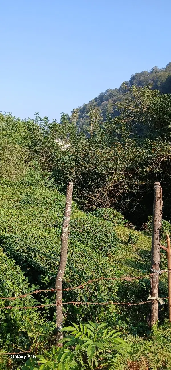 تصویر املاک 100331