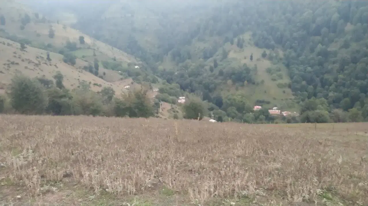 تصویر املاک 96627