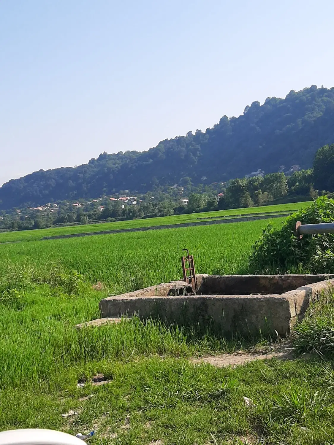 تصویر املاک 80563