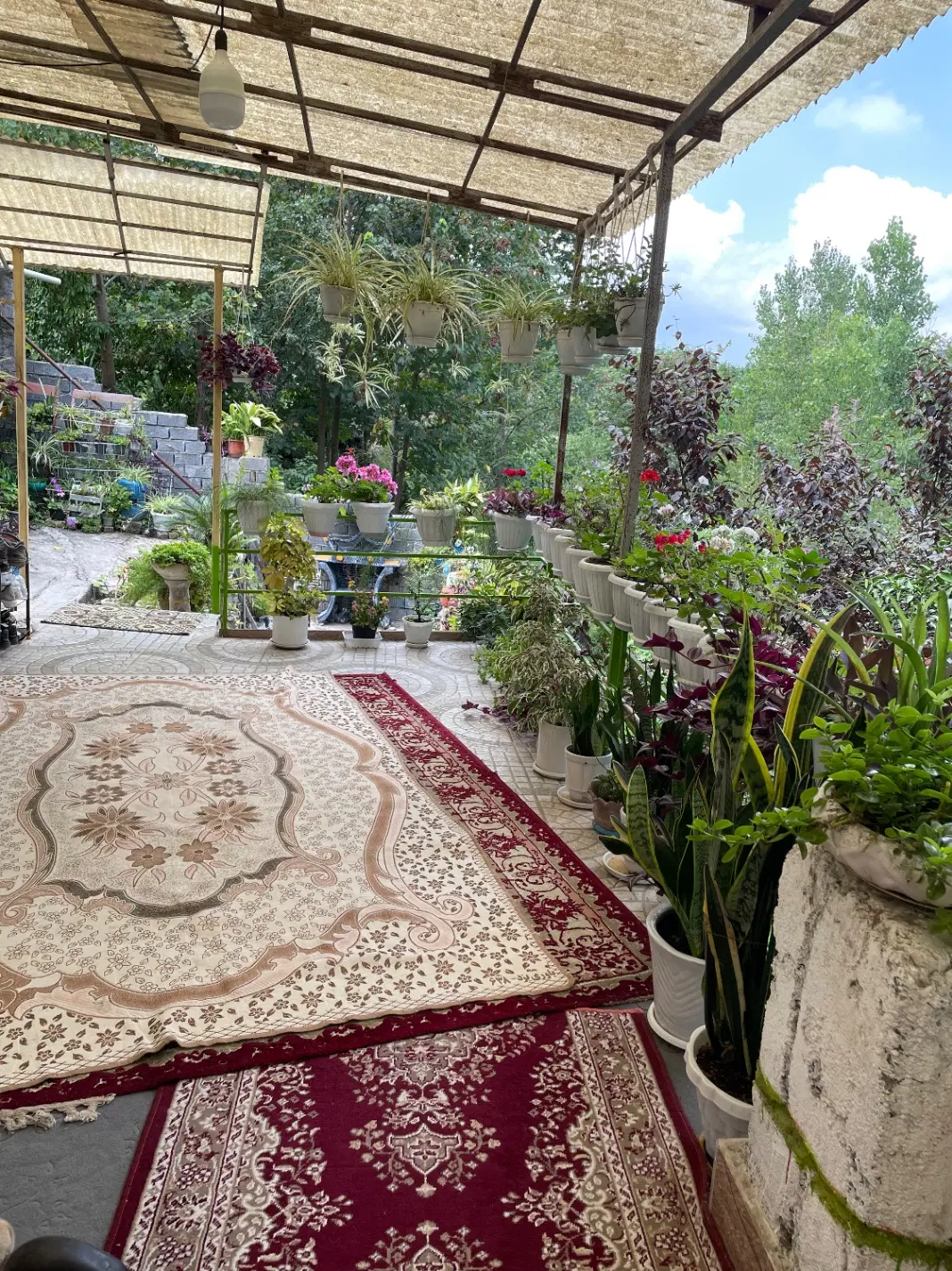 تصویر املاک 103982
