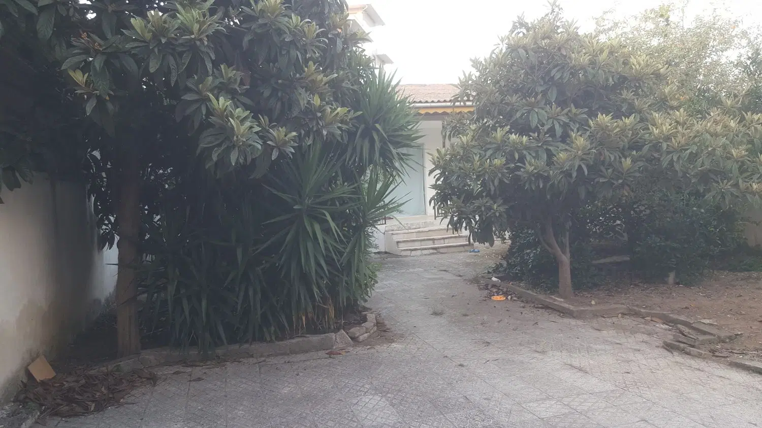 تصویر املاک 114421