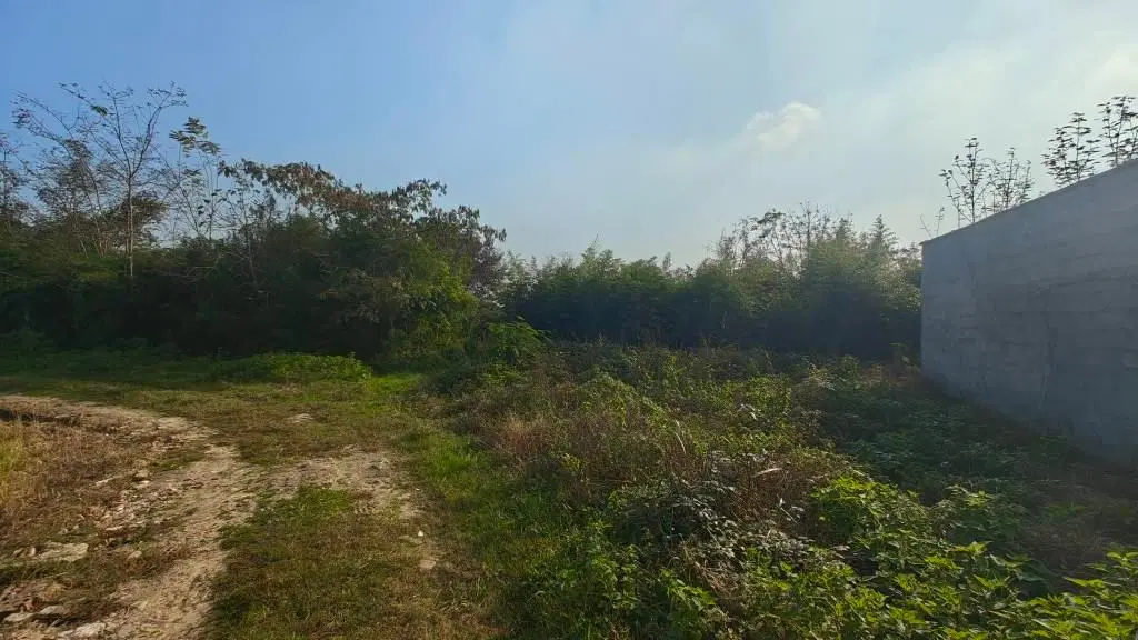 تصویر املاک 77911