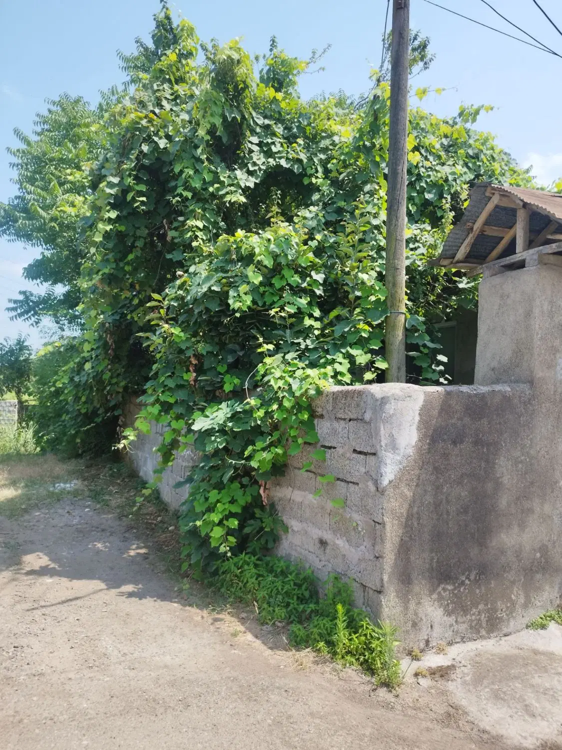تصویر املاک 83461