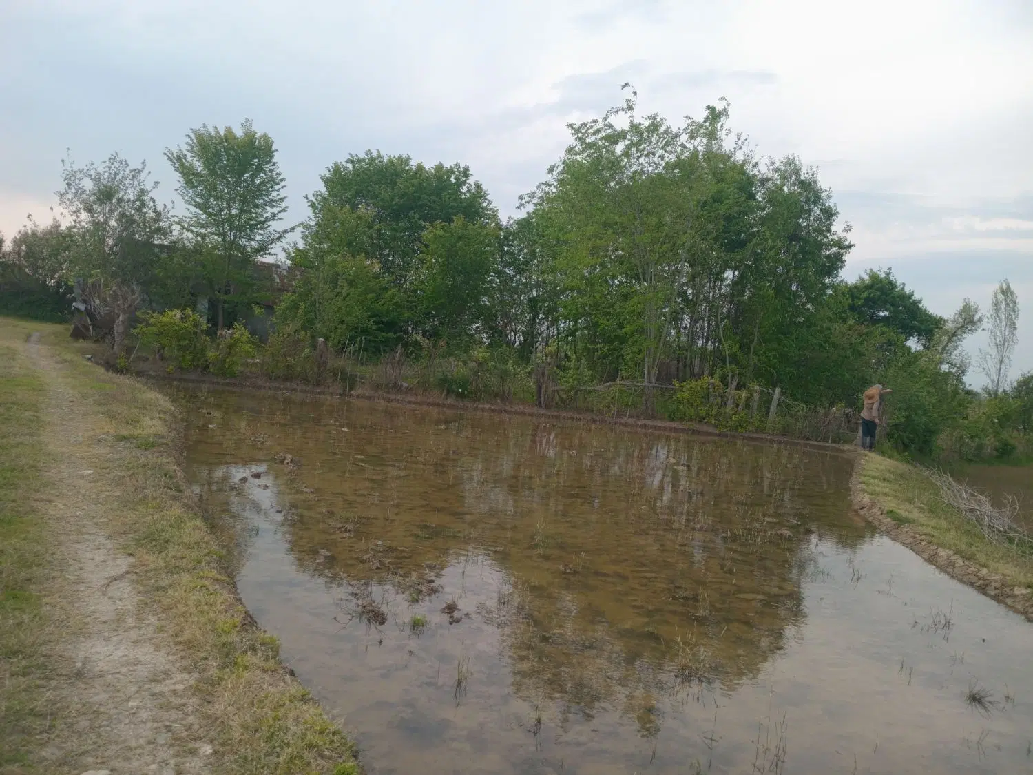 تصویر املاک 113055