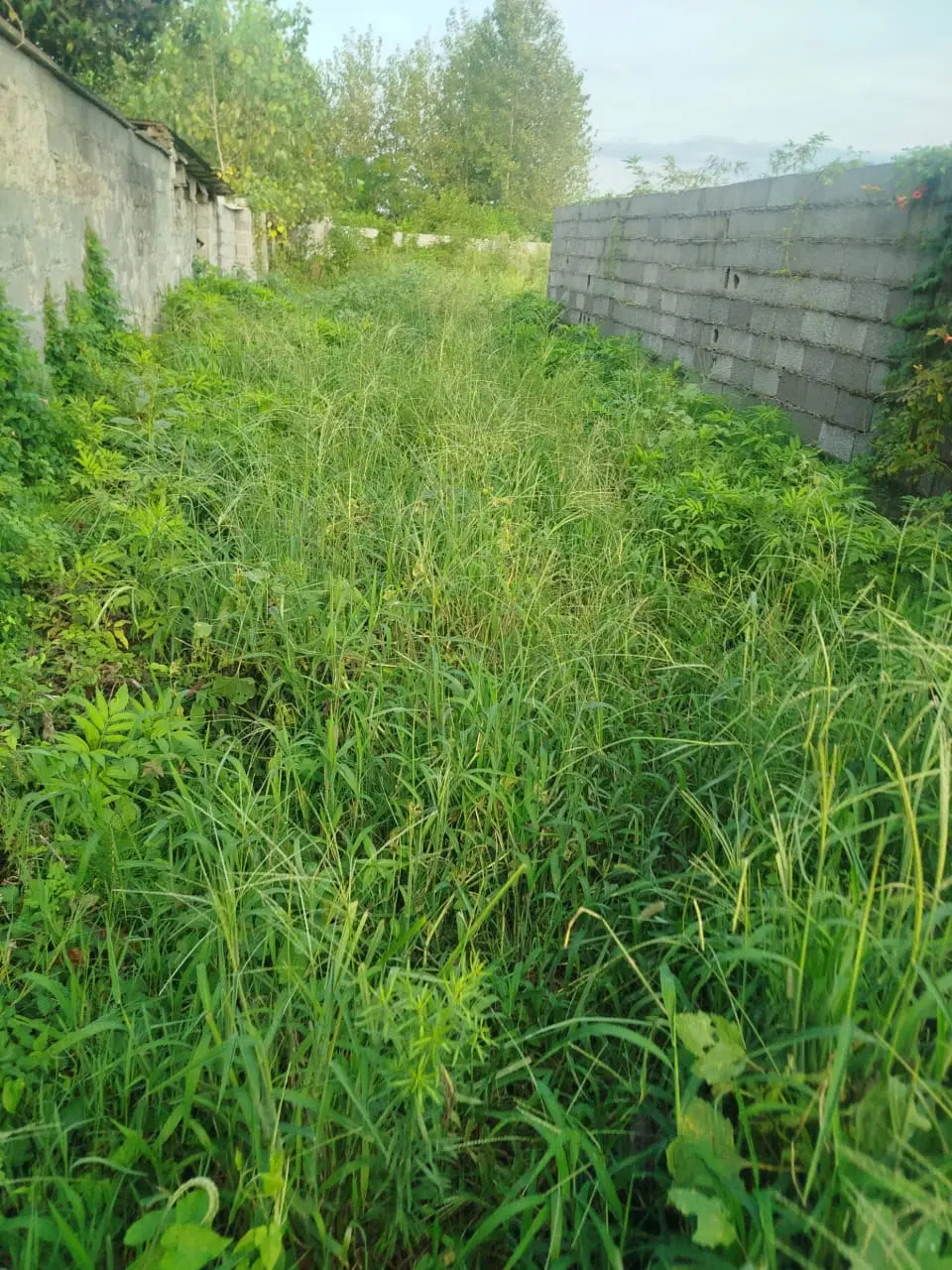 تصویر املاک 123156