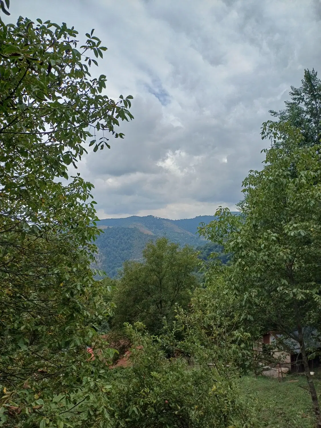 تصویر املاک 113713