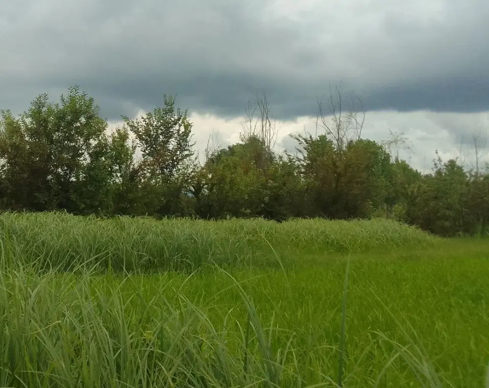 تصویر املاک 126670
