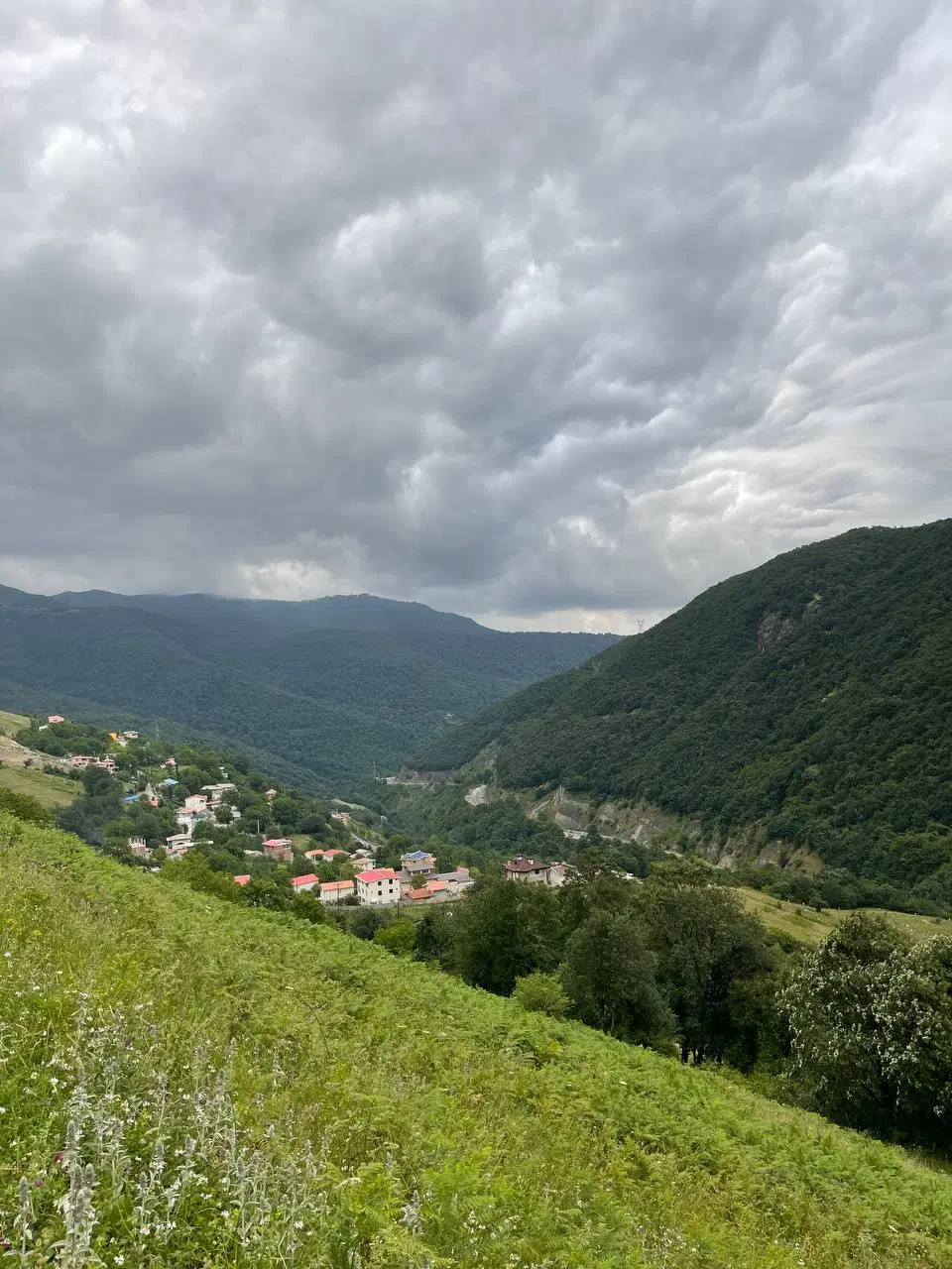 تصویر املاک 94919