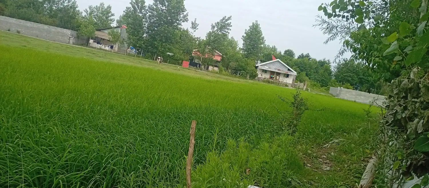 تصویر املاک 80843