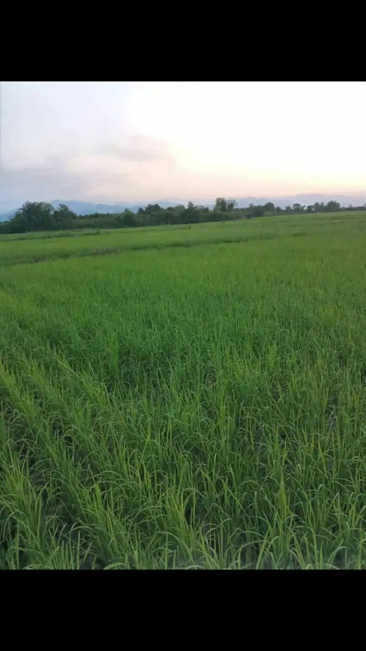 تصویر املاک 98273