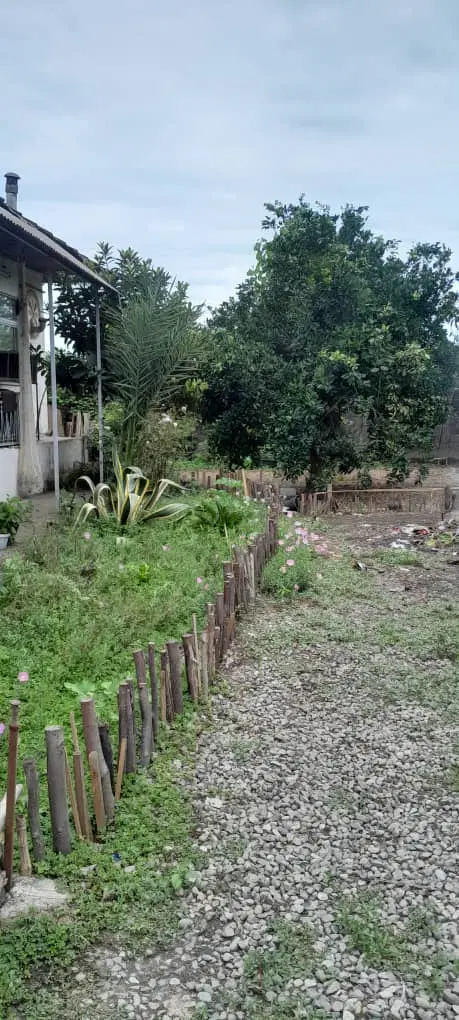 تصویر املاک 95093