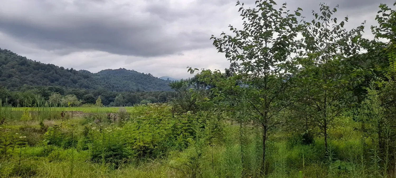 تصویر املاک 113386