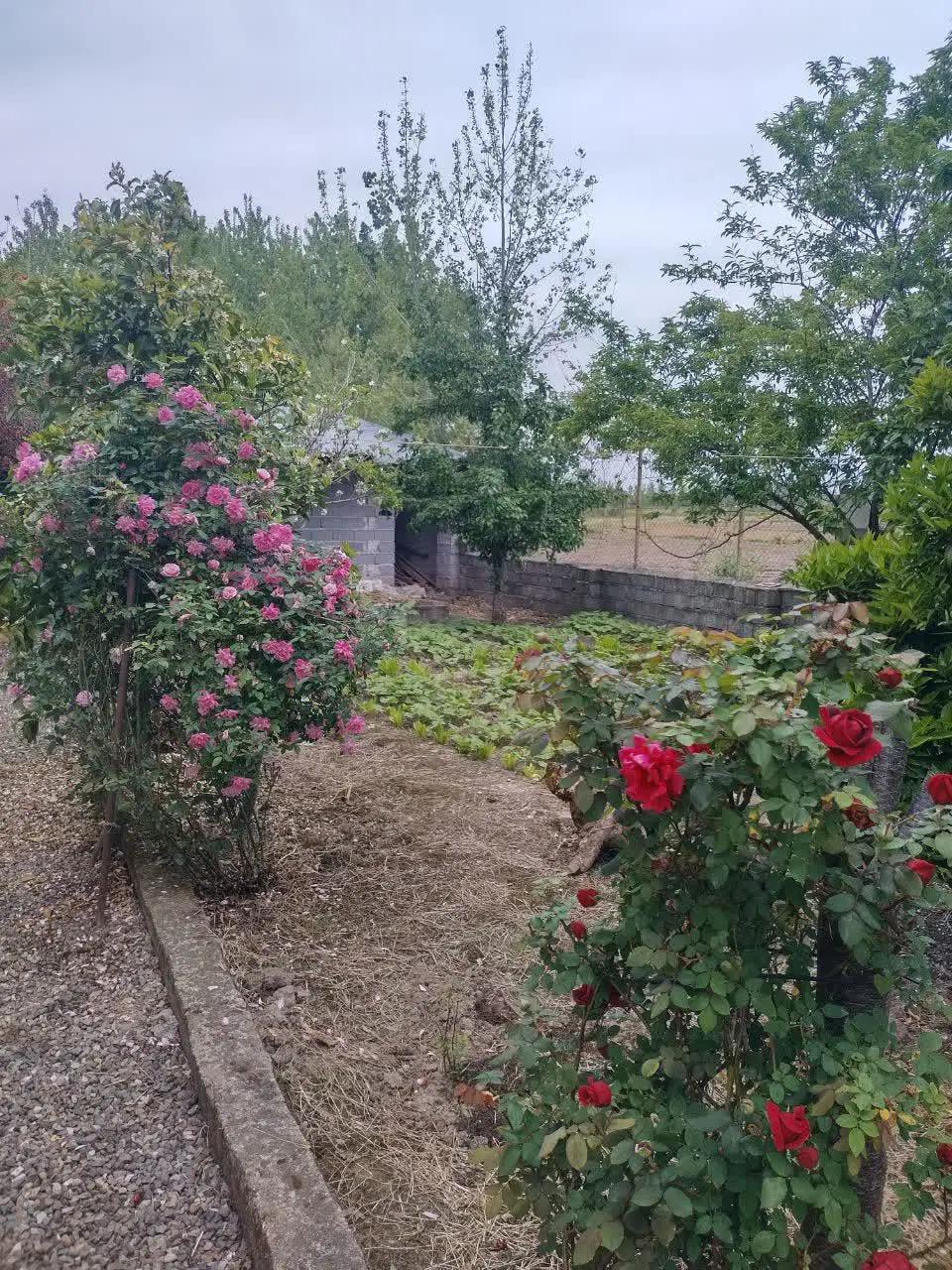 تصویر املاک 77866