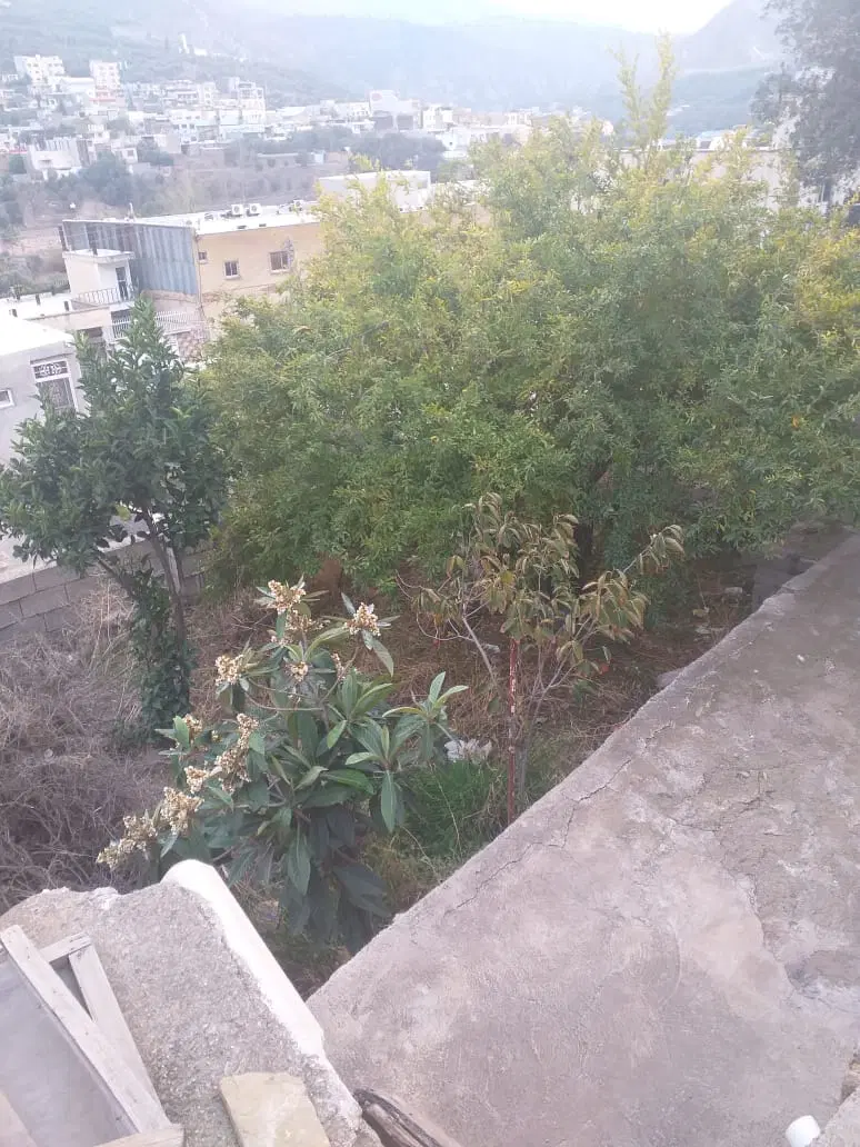 تصویر املاک 69996