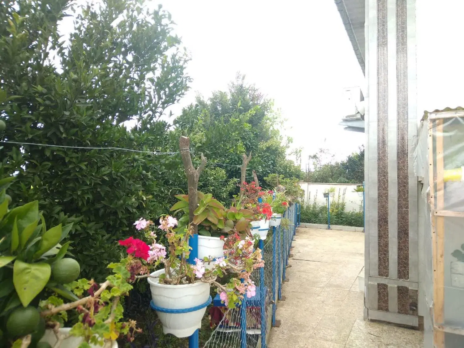 تصویر املاک 97948