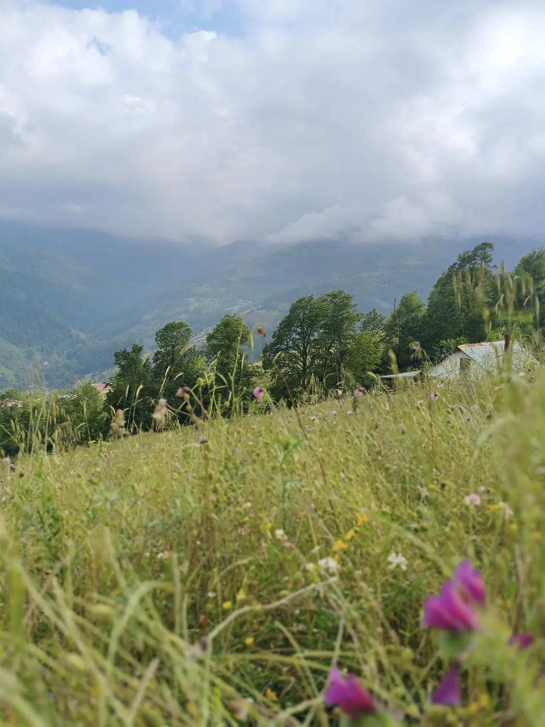 تصویر املاک 71518