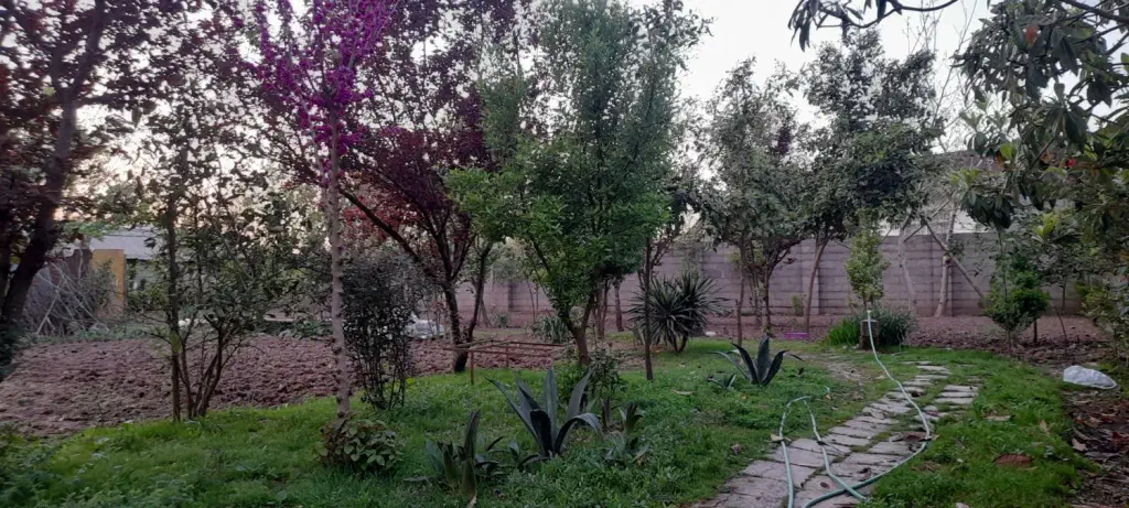 تصویر املاک 142383