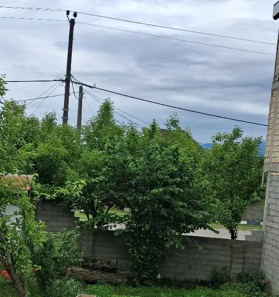 تصویر املاک 93158