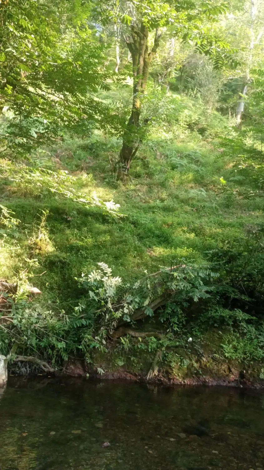 تصویر املاک 114263