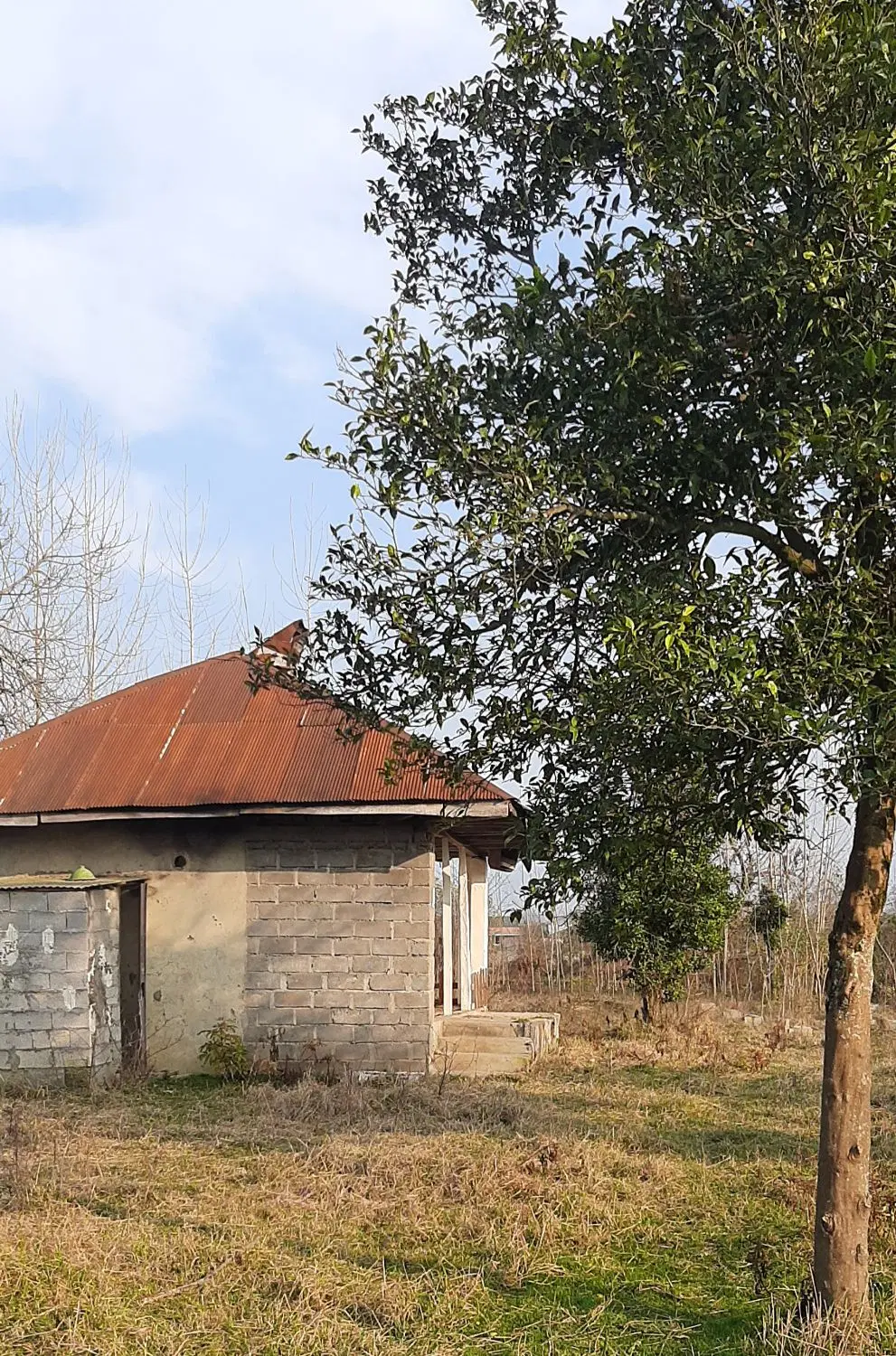 تصویر املاک 83262