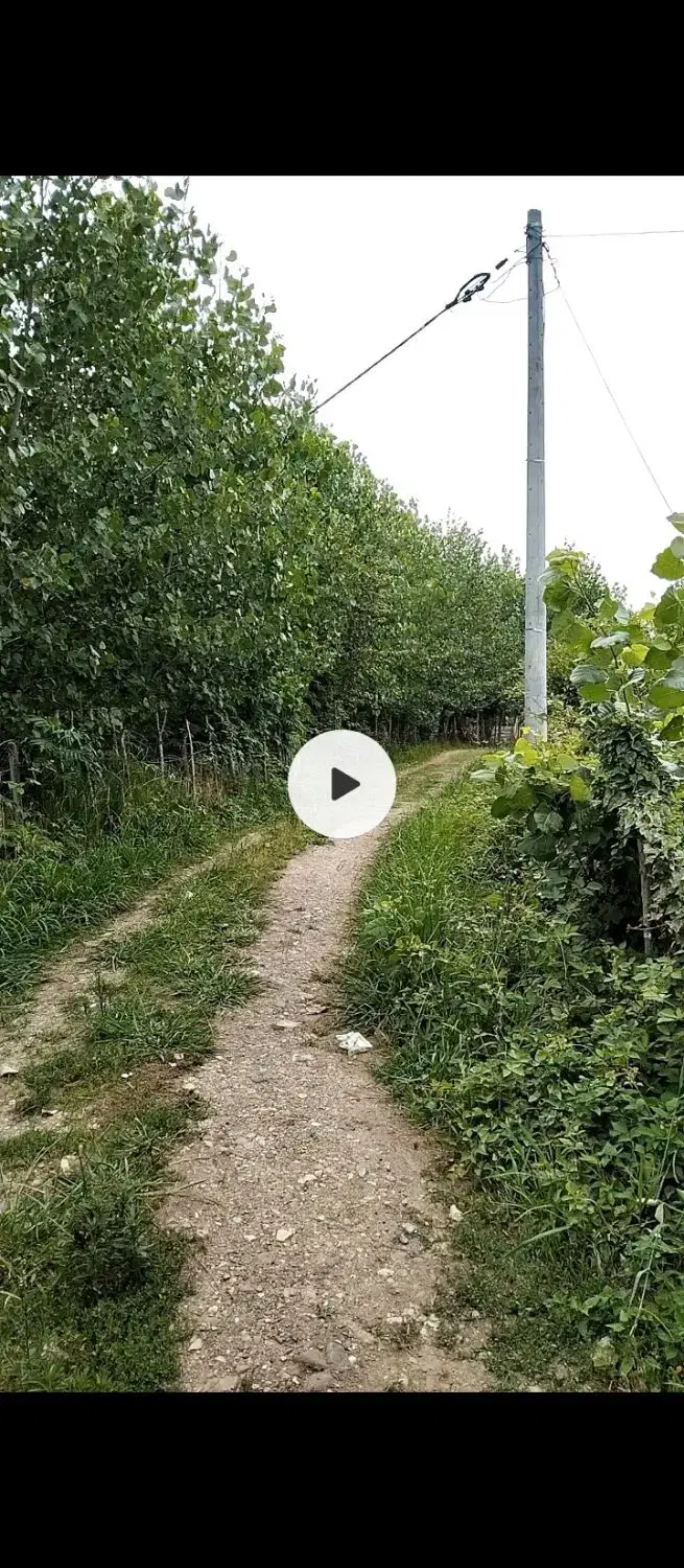 تصویر املاک 43743
