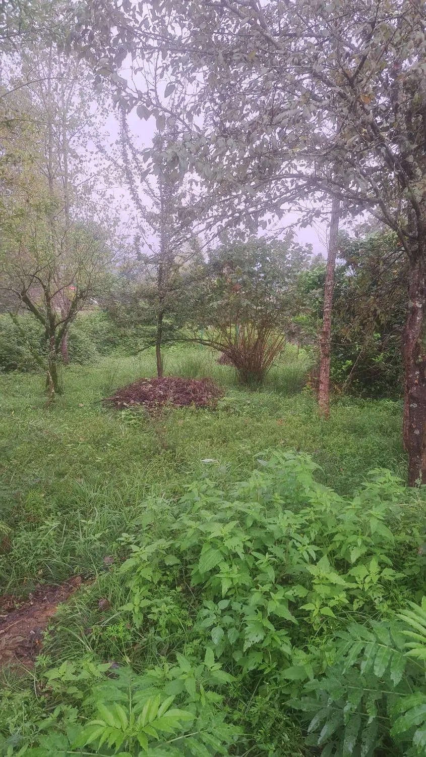تصویر املاک 140303