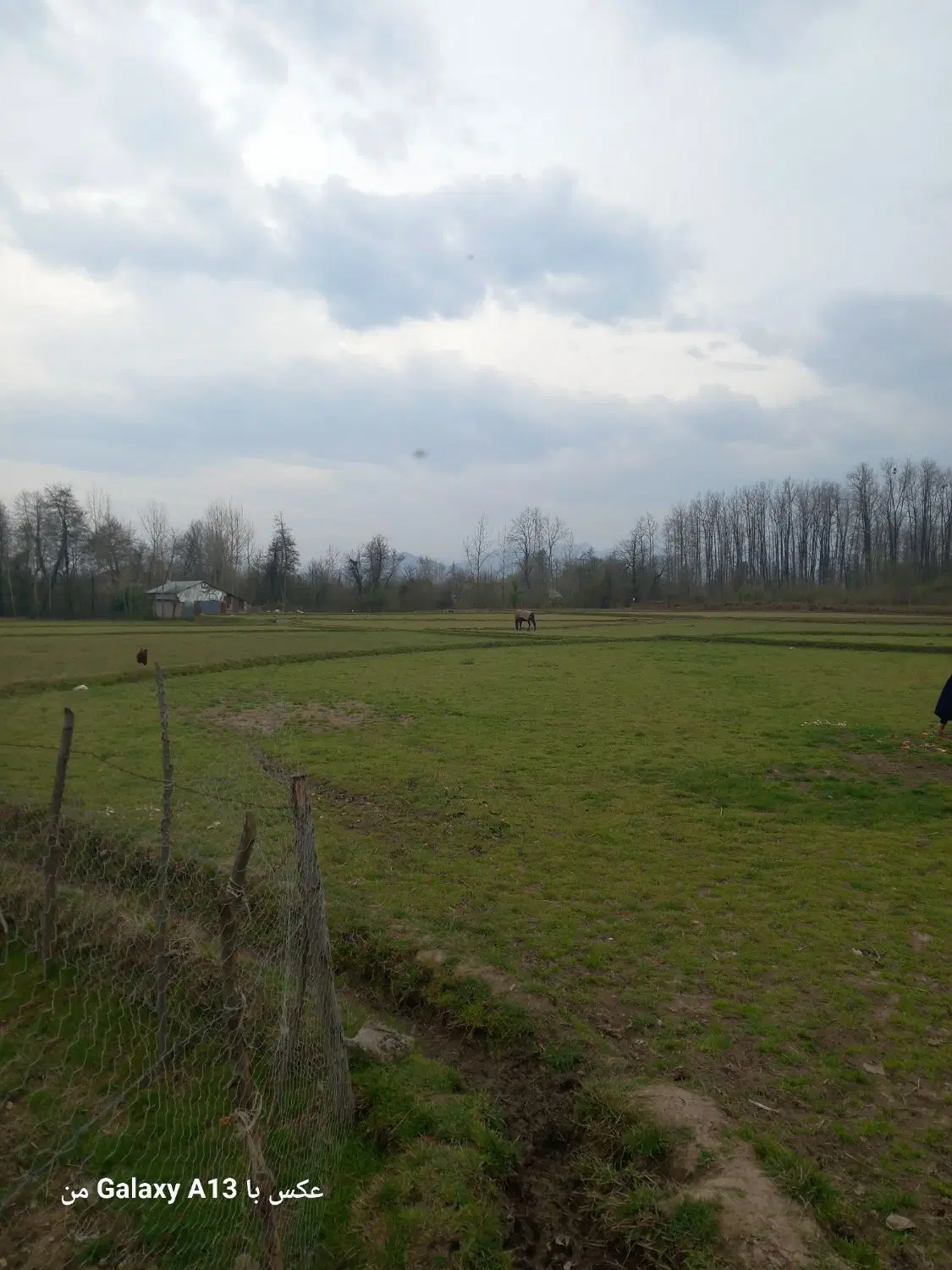 تصویر املاک 49610