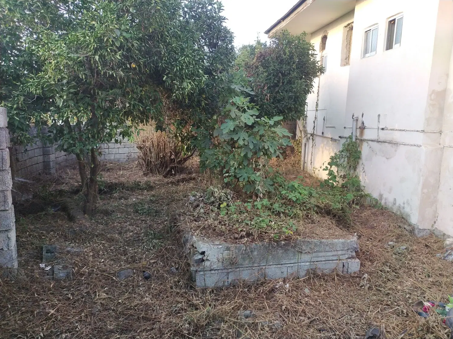 تصویر املاک 100819