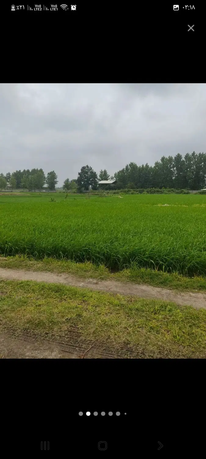 تصویر املاک 113059