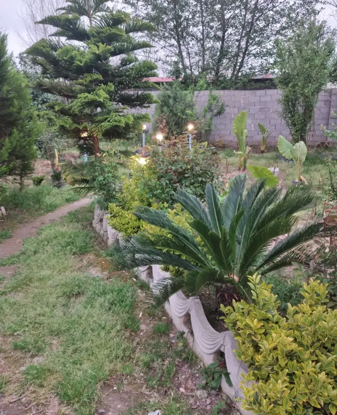تصویر املاک 60385