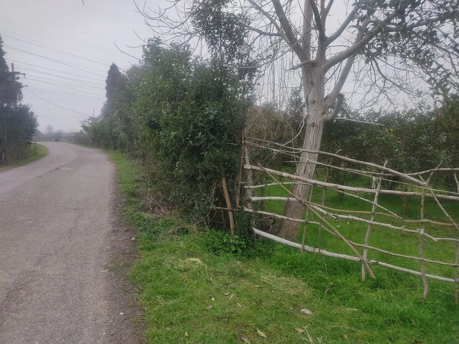 تصویر املاک 93335