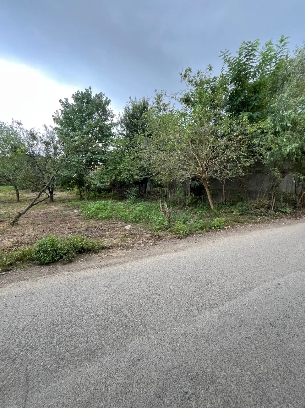 تصویر املاک 99250